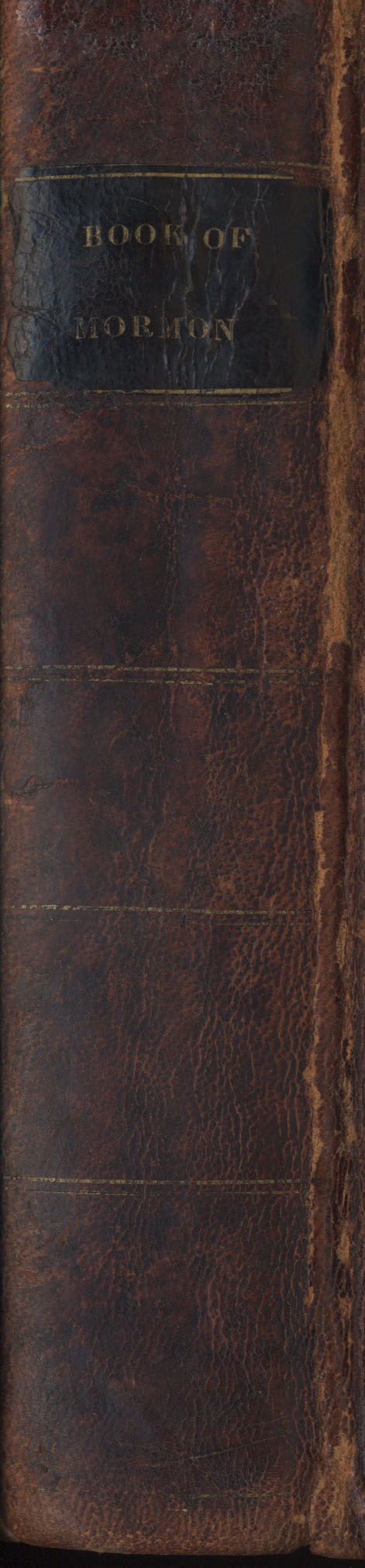 leather book spine texture