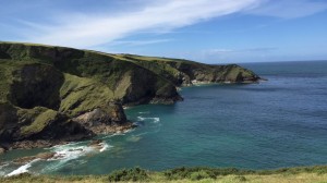 The coast from Port Isaac.