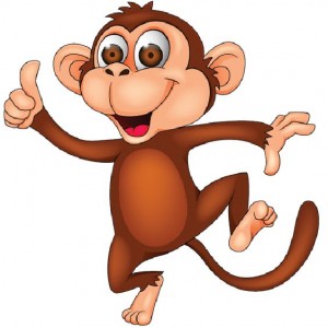 monkey