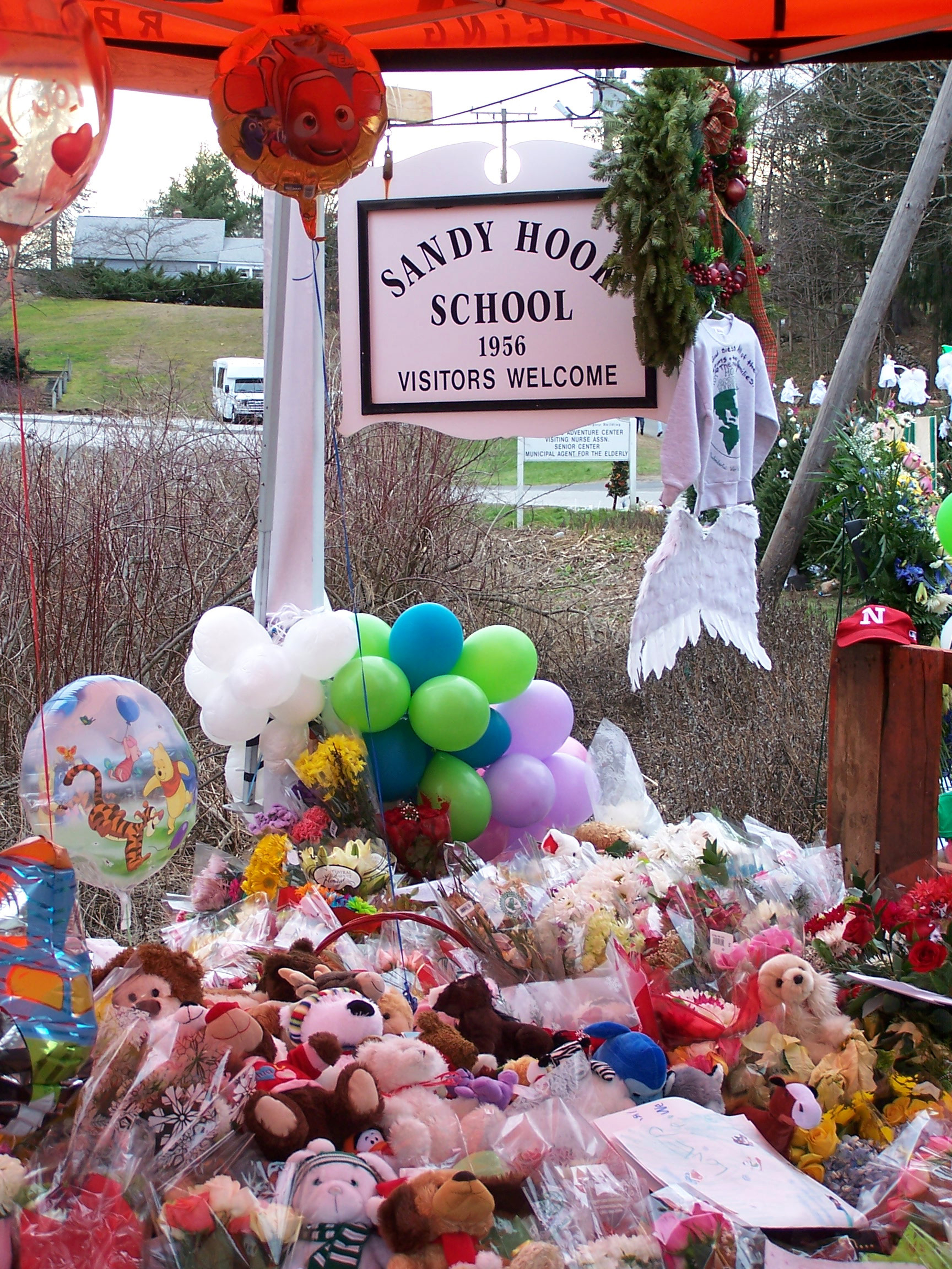 Sandy Hook School