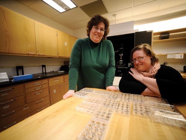 Associate Professor of Physics Kristine Lang and Associate Professor of Biology Phoebe Lostroh in the lab.