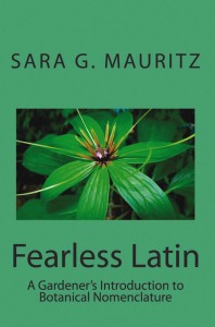 Fearless Latin