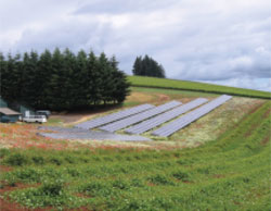 The Oregon solar array where Mat Elmore ’09 conducted research for his TFP internship.