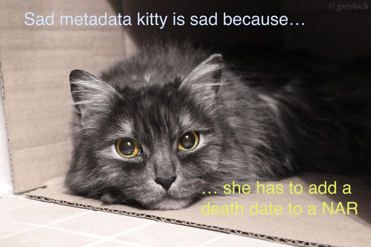 tumblr_nftcl3l83V1u4eaavo1_1280