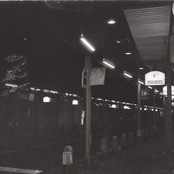 Winter Trip to Japan (24-25)