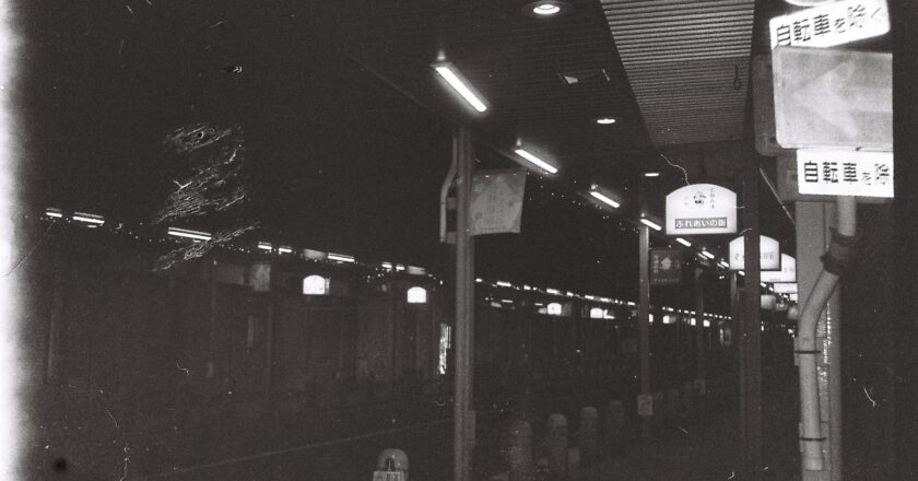 Winter Trip to Japan (24-25)