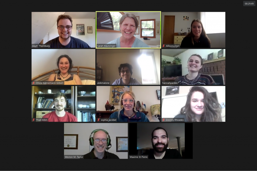 The Social Bodies Distanced Project Crew - an image of the group meeting in Zoom. 